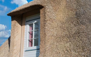 Redmarshall thatch roof disadvantages